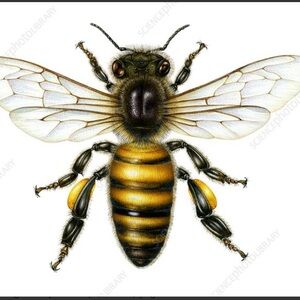 Meet your Posher, Angelica